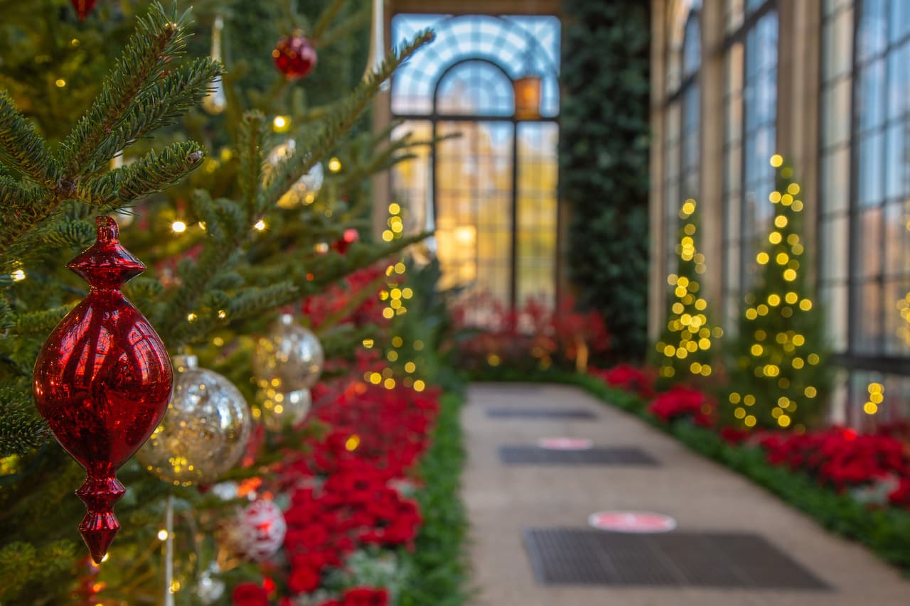 18.000 adornos brillan y brillan durante la exhibición navideña de este año.