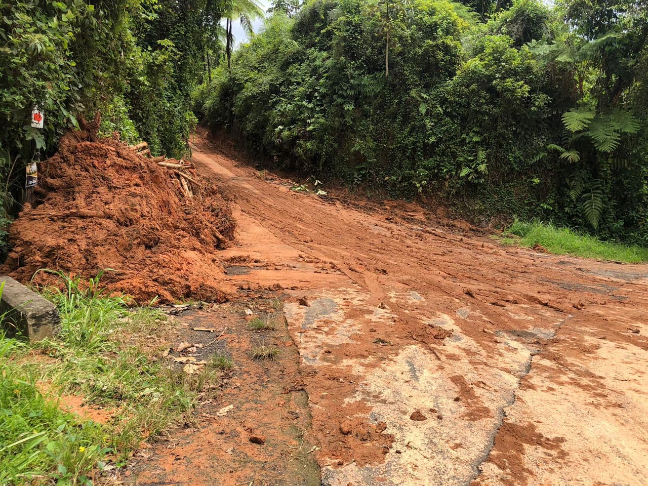 El director municipal de la Oficina para el Manejo de Emergencias de Utuado informó que la carretera ya fue reabierta.