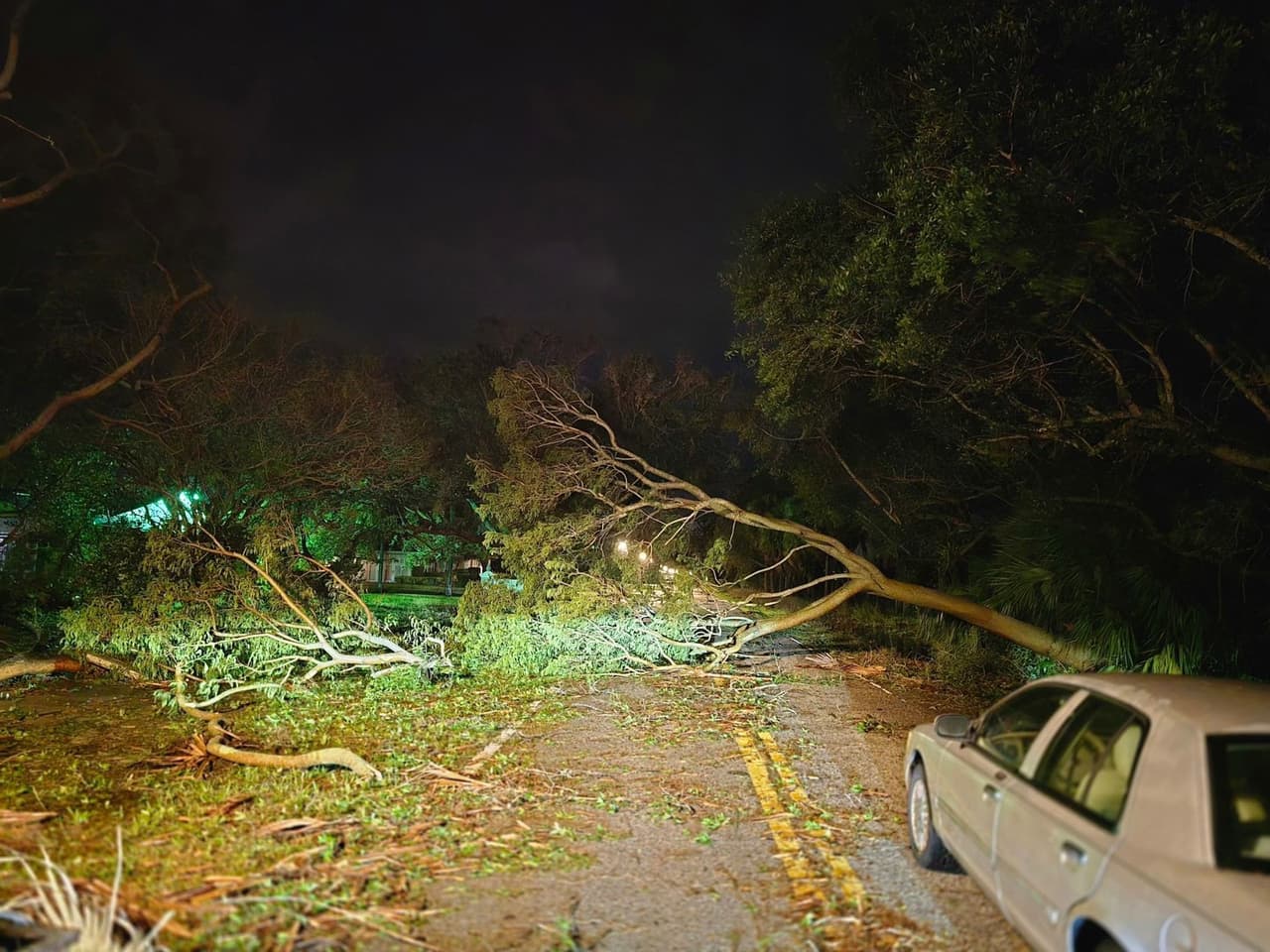 Árboles caídos obstruyen una carretera del condado de Hillsborough, Florida.