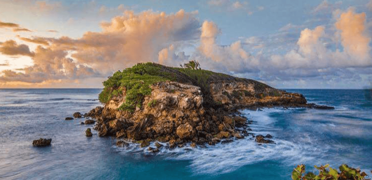 <a href="https://www.discoverpuertorico.com/profile/balneario-javier-calderon-cerro-gordo/8932">El Parque Nacional / Balneario Cerro Gordo / </a>Parques Nacionales de Puerto Rico