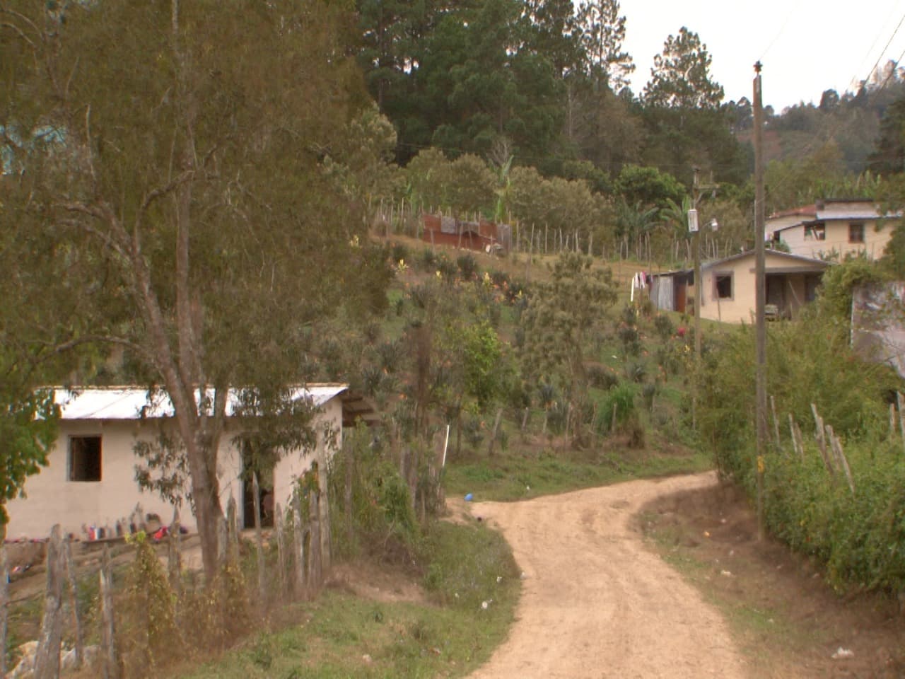 Para llegar a sus casas hay que subir parte de la cordillera de Montecillos, una reserva biológica ubicada en el centro de Honduras. La belleza y riqueza natural de la zona contrastan de forma impactante con la pobreza de quienes habitan en las faldas de las montañas.