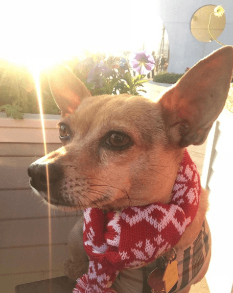 Y Lola parece ser la más consentida por ella, además de sus hijos.