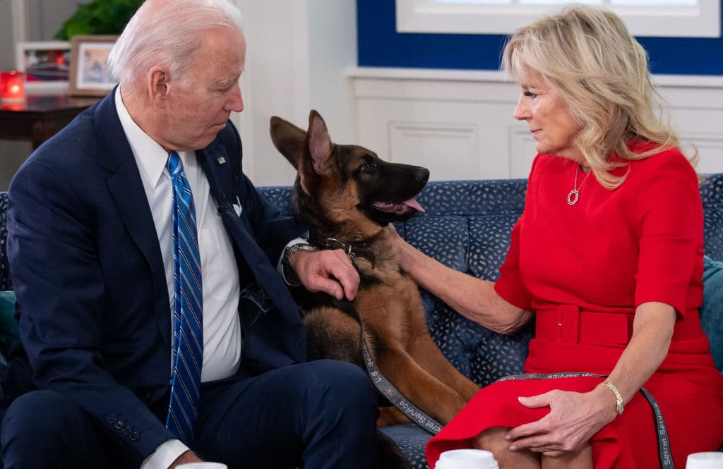 El nuevo perro de los Biden, con el que convivirá el gato Willow, se llama
<b>Commander. </b>