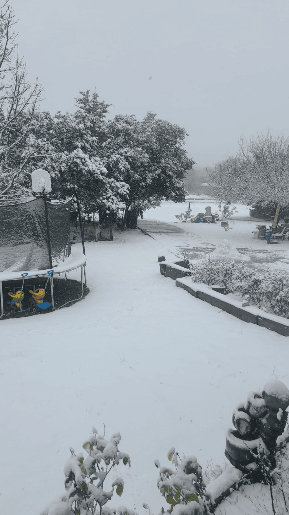 <b>Dripping springs |</b>Se registró acumulados significativos en diversas zonas del estado.