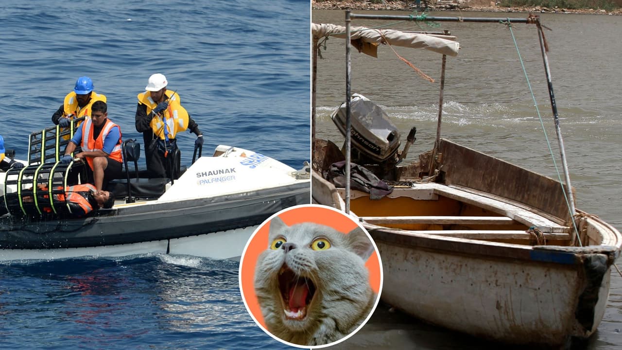 Náufrago sobrevivió 11 días en el mar gracias a un congelador: su historia se volvió viral