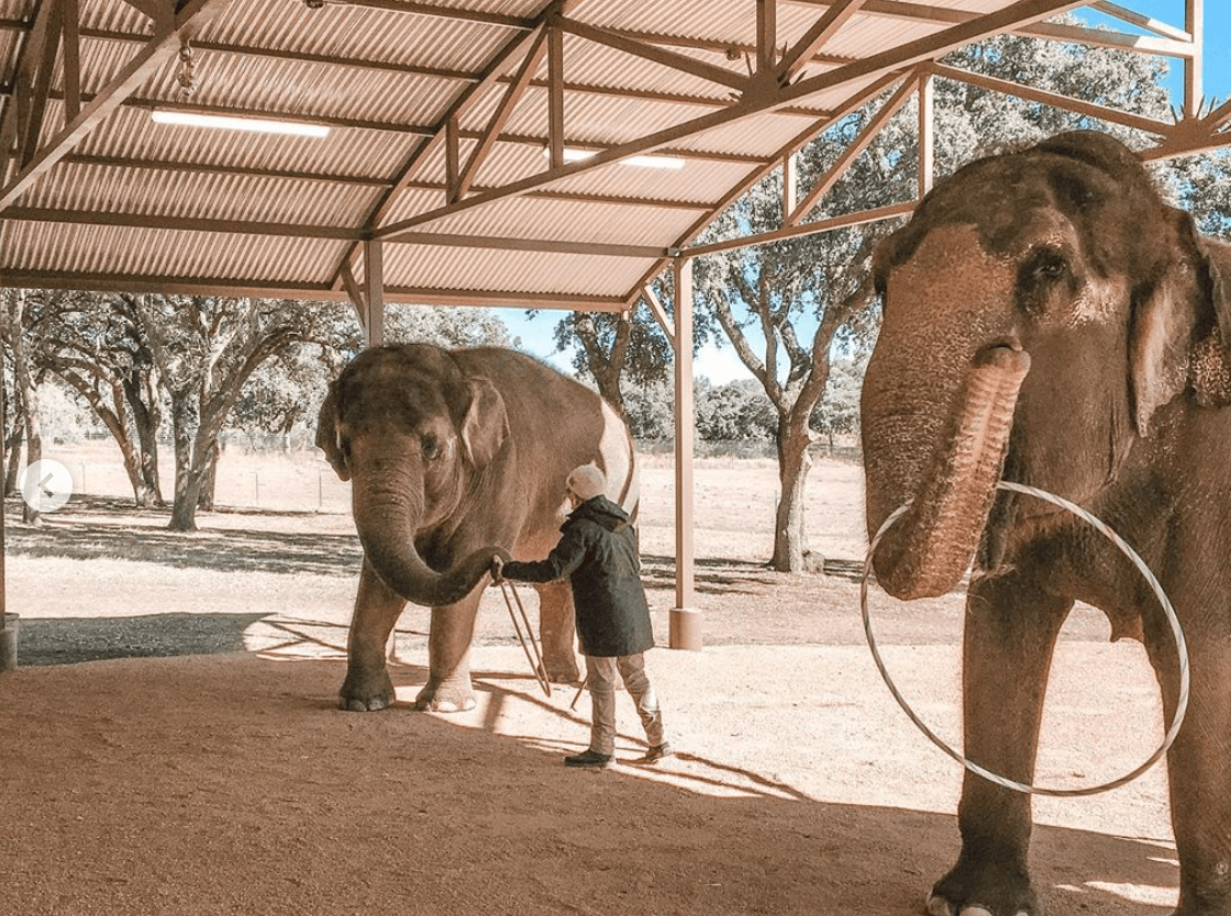 The Preserve está ubicado en Fredericksburg, una ciudad ubicada en el condado de Gillespie en el Hill Country.