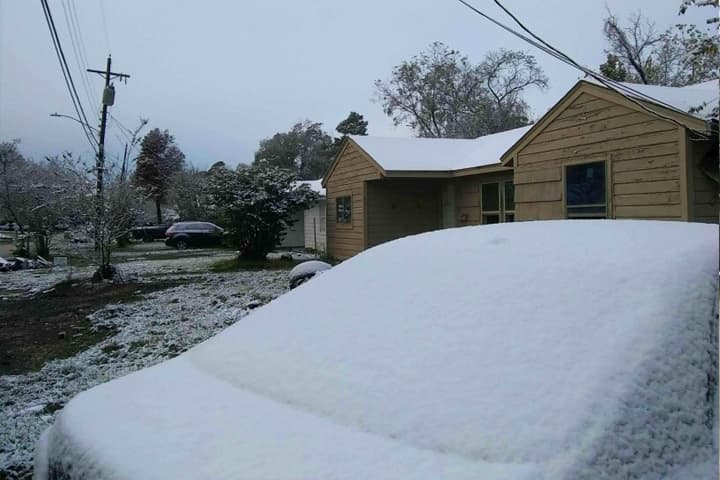 Muchos aprovecharon el raro evento para tomarse fotos, jugar con la nieve y construir el tradicional muñeco navideño.