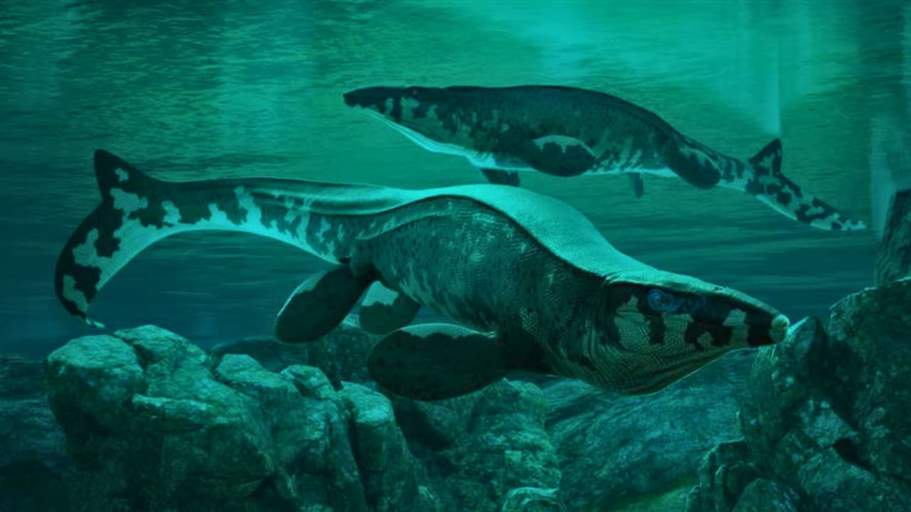 Antes del tráfico en Dallas, hubo un mar. Y en ese mar nadaba un monstruo de 43 pies llamado Tylosaurus rex.