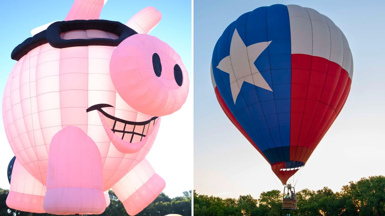 <h3 class="cms-H3-H3">Cuánto cuesta ir</h3> La entrada en el lugar
<b>cuesta $10 para adultos y $5 para niños de 3 a 12 años</b> y personas de 65 años o más.
<br>Los niños de asta 36 pulgadas de estatura y los militares con identificación válida
<b>entran gratis. </b>
<br>El estacionamiento
<b>cuesta $15 en las áreas más cercanas y $10 en el Plano Event Center. </b>
<br>Otra opción es dejar el vehículo en la estación Parker Road de DART
<b>y tomar el autobús gratuito que conecta con el festival.</b>