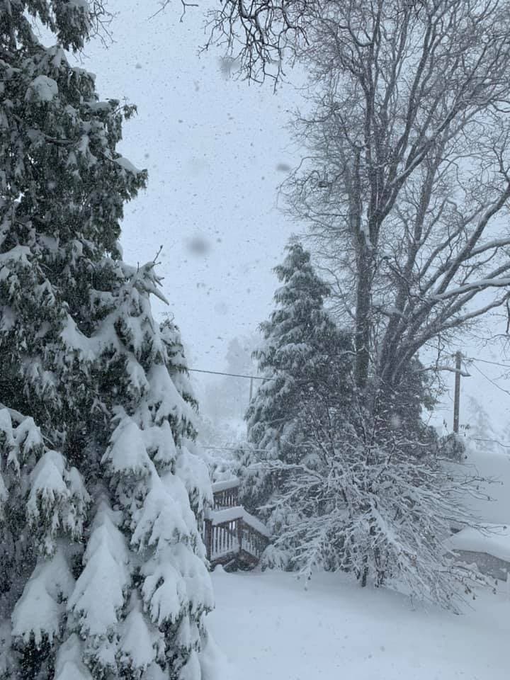 "Lake Arrowhead, California!", escribió Rosario Perez.