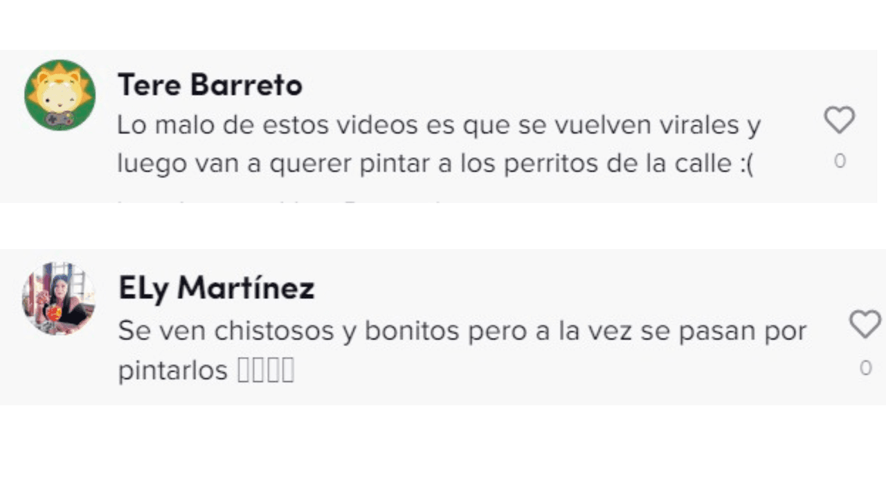 No todos estuvieron de acuerdo con el video