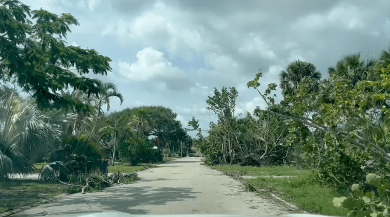 <b><a href="https://www.univision.com/local/orlando-wven/reportalo" target="_blank">Puedes enviarnos tus fotos a través de nuestra plataforma Repórtalo.</a></b>