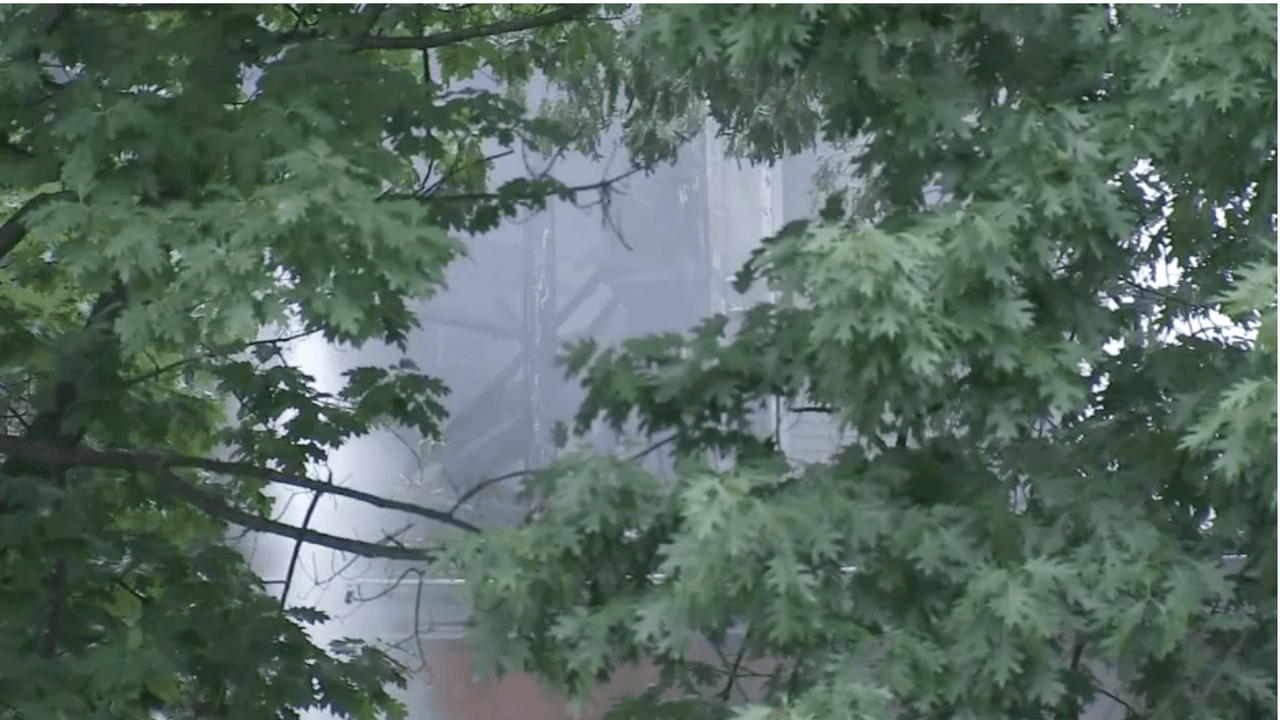 Ocurrió poco antes de las 3 p.m. en la cuadra 4400 de North Broad Street.
<br>
<br>