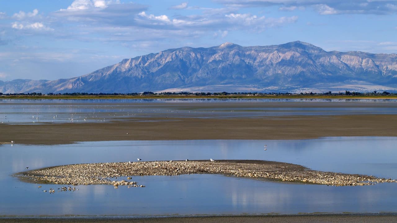 El “polvo tóxico” provocado por la sequía del Gran Lago Salado podría causar enfermedades cardiovasculares