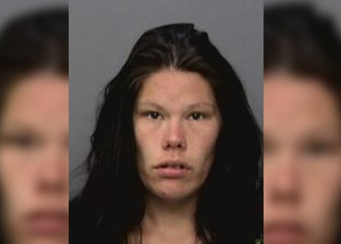 Una mujer suma 41 arrestos en California en tan solo 8 años