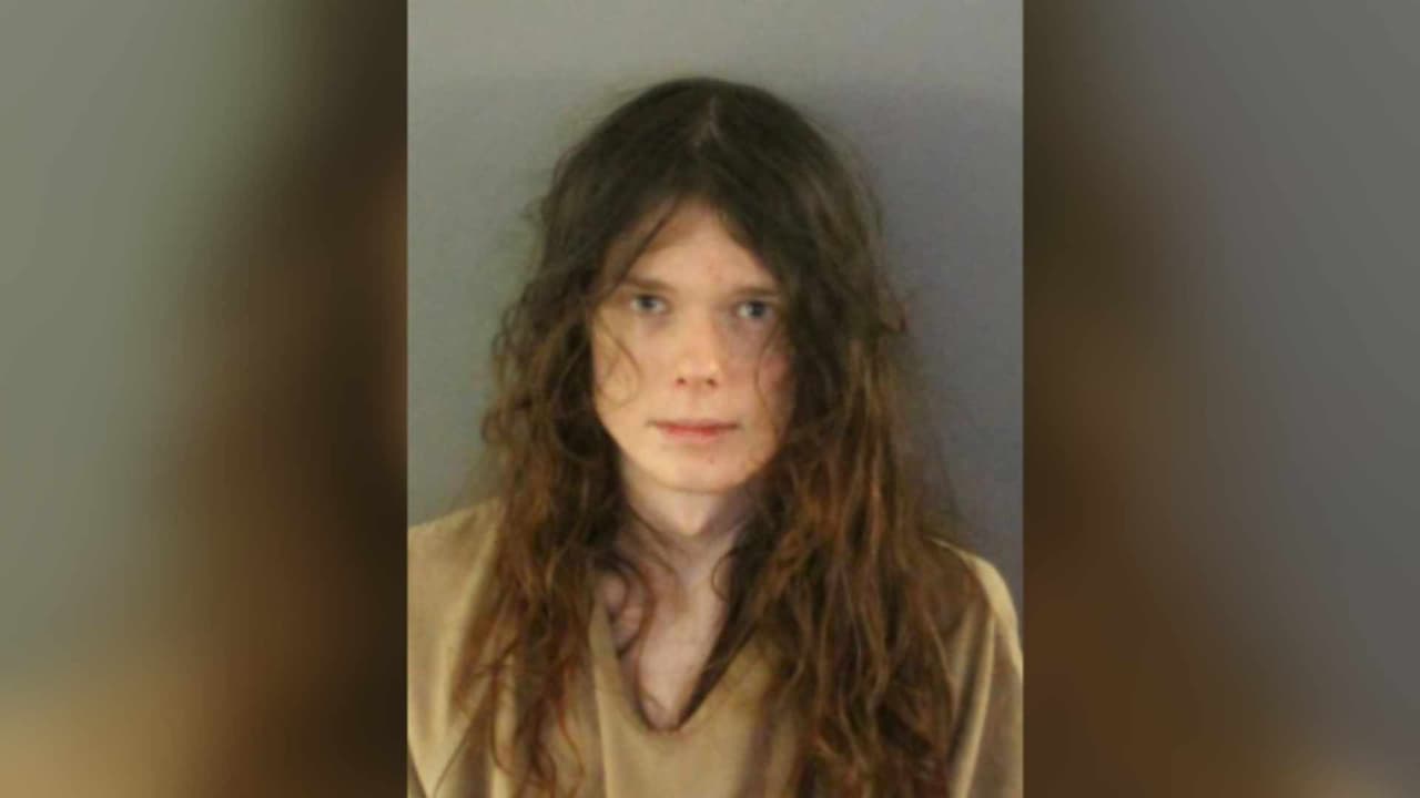 Madre muere apuñalada presuntamente por su hijo durante una pelea en el condado Charlotte