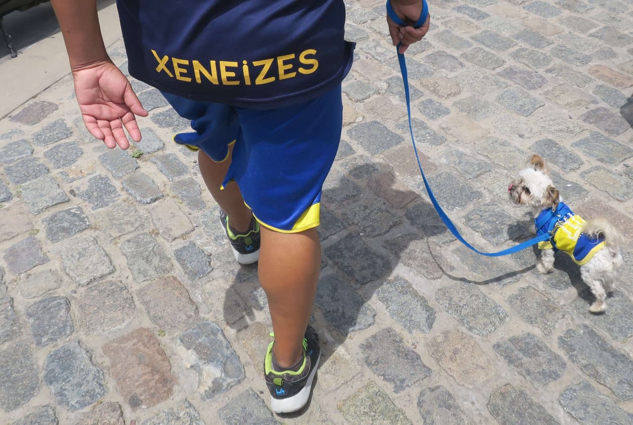 Ni el perro se quería perder esta fiesta del fútbol sudamericano.