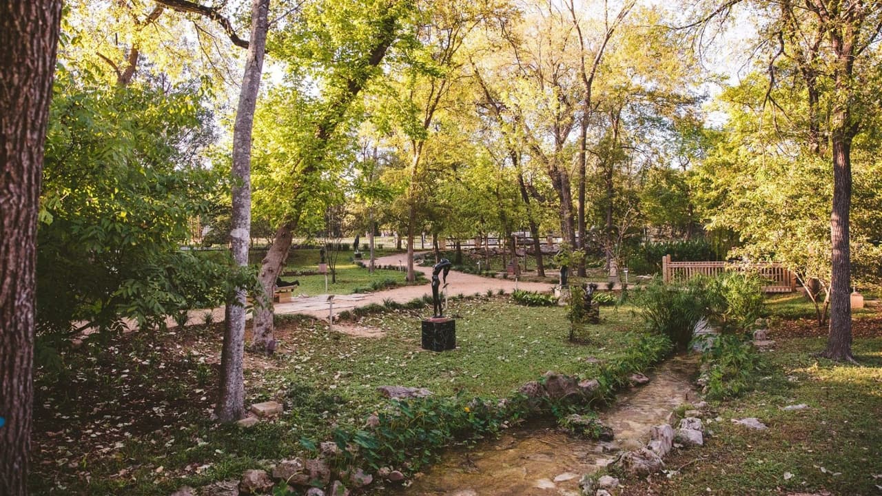 <h3 class="cms-H3-H3">UMLAUF Sculpture Garden + Museum</h3>
<br>
<br>Es un espacio que honra al artista y escultor, Charles Umlauf. Consta de un jardín de 6 hectáreas con una gran colección de esculturas tactiles.
<br>
<b><a href="https://www.umlaufsculpture.org/visit" target="_blank">Visita su Website</a></b>