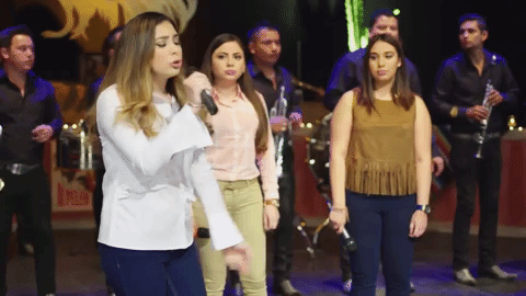 Las hijas de Elizalde mostraron ante las cámaras de ‘Sale el Sol’ que ellas son dueñas de cualquier producto relacionado con el nombre y la imagen de su padre, según el registro en el Instituto Mexicano de la Propiedad Industrial.