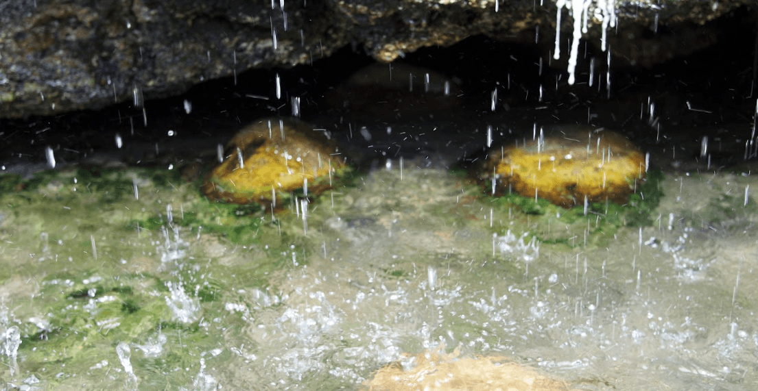 <b><a href="https://goo.gl/maps/N9WnhMx7YguH1FvK9" target="_blank">Buckeye Hot Springs</a> </b>es otro lugar que es alimentado por cascadas de agua caliente. Se ubican muy cerca de la Bridgeport y del área de Twin Lakes. El acceso a los manantiales implica un descenso bastante empinado por un sendero de acceso, por lo que se recomienda el uso de zapatos resistentes al agua o sandalias. El campamento cercano está disponible en Buckeye Campground. No tiene costo de ingreso, sin embargo el acceso a ellas es limitado durante el invierno.