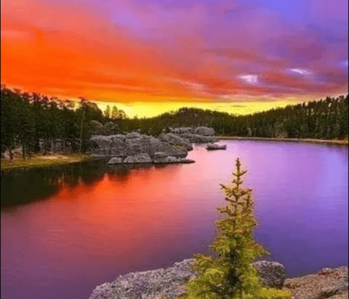 Puedes reservar un campamento para tu casa de campaña o RV, o acampar con un grupo.
<br>