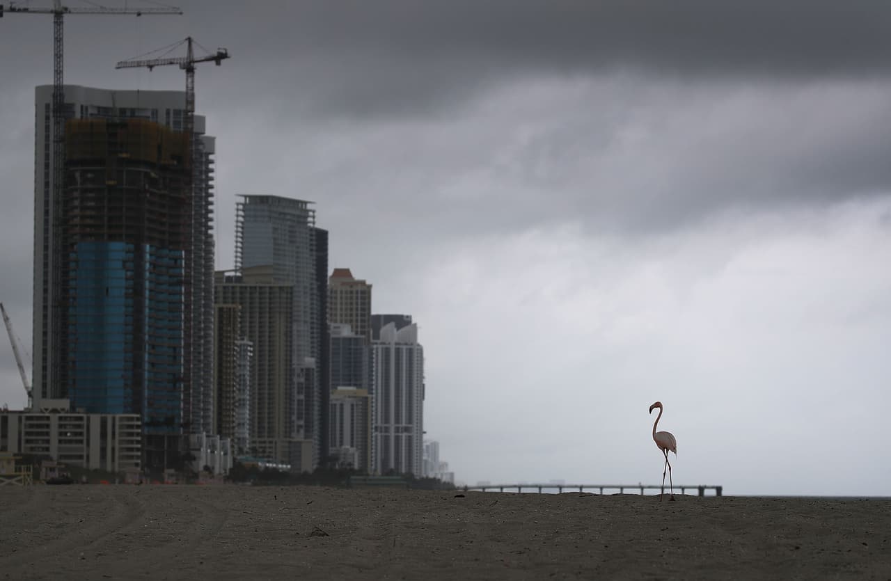 Esta playa
<a href="https://www.google.com/maps/place/Parque+Haulover/@25.9114426,-80.1234842,15z/data=!4m2!3m1!1s0x0:0xb98afda9d8ae0881?sa=X&hl=es-419&ved=2ahUKEwiMw-nAs4bwAhWll-AKHVMoBSYQ_BIwHnoECDQQBQ" target="_blank">está ubicada en el sur de Florida</a>, en el 10800 de la avenida Collins, en el condado Miami-Dade.