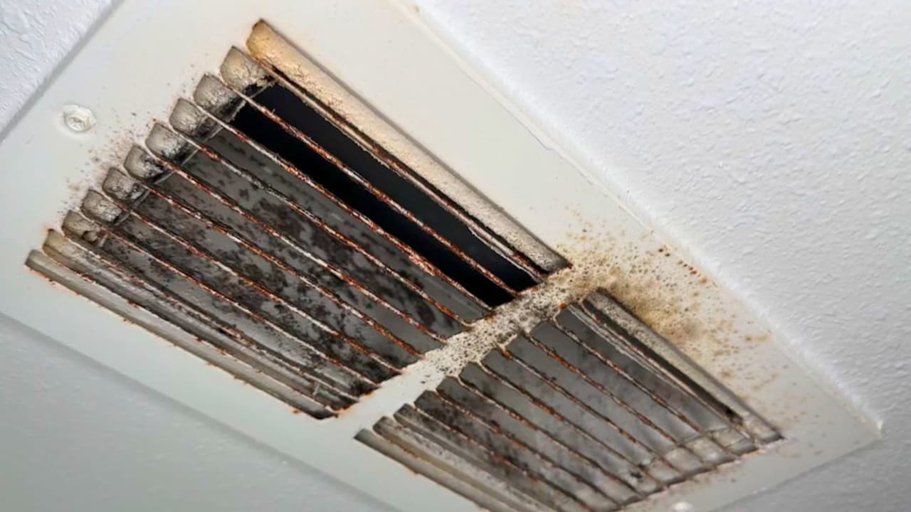 <h3 class="cms-H3-H3">Compensación y soluciones provisionales</h3>
<br>Ramos también sugirió que
<b> los inquilinos pidieran compensación adicional, como alojamiento temporal en un hotel</b>, si las condiciones de sus apartamentos son tan malas que no pueden continuar viviendo allí.