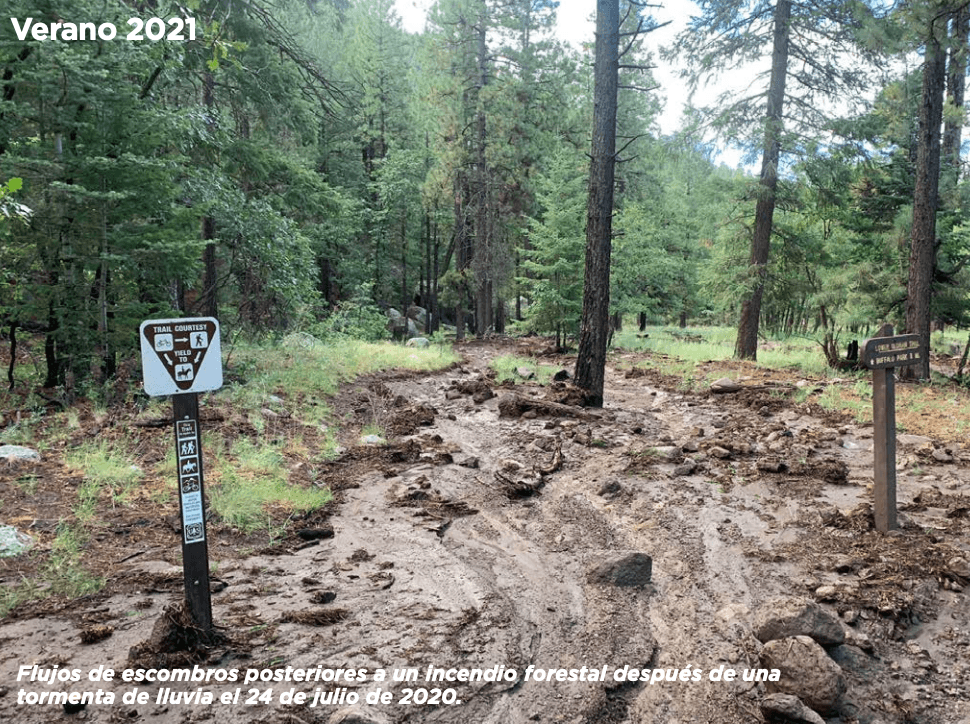 Tiempo de prevenir inundaciones: ofrecen bolsas de arena para residentes de Flagstaff en riesgo