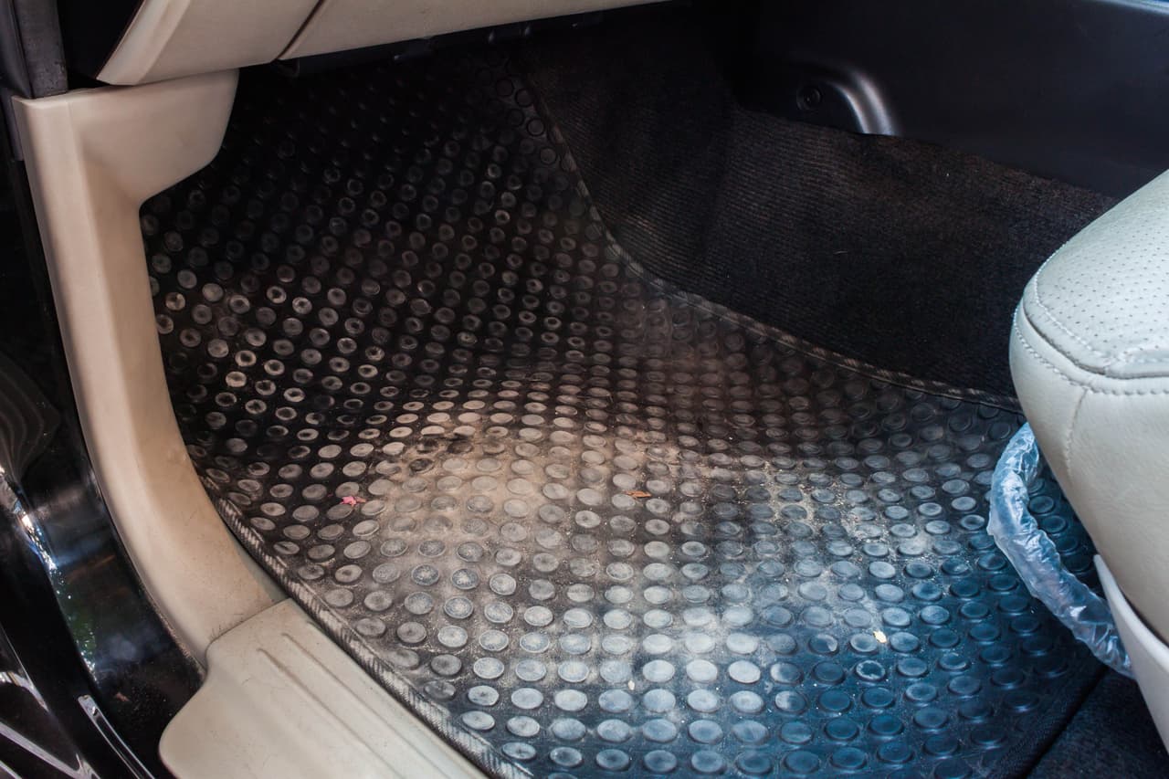 <h3 class="cms-H3-H3"><b>Alfombras/Tapetes</b></h3>
<br>
<br>Estos pueden alojar ácaros, pequeños insectos que sus heces pueden provocar estornudos, asma y alergias. Una buena aspiradora y productos de limpieza son la mejor opción para mantenerlos limpios.