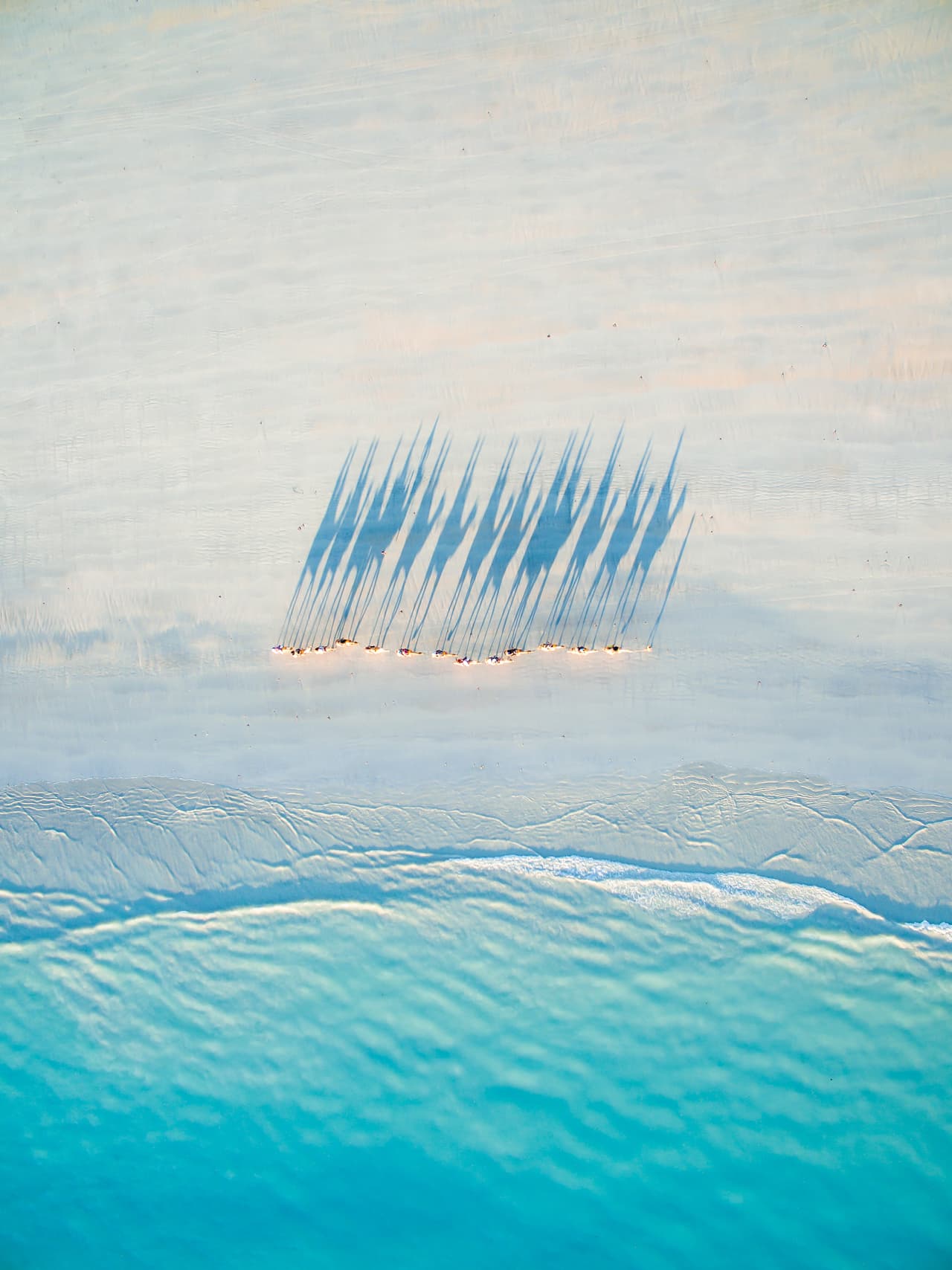 Caravana de camellos en Cable Beach, Australia.