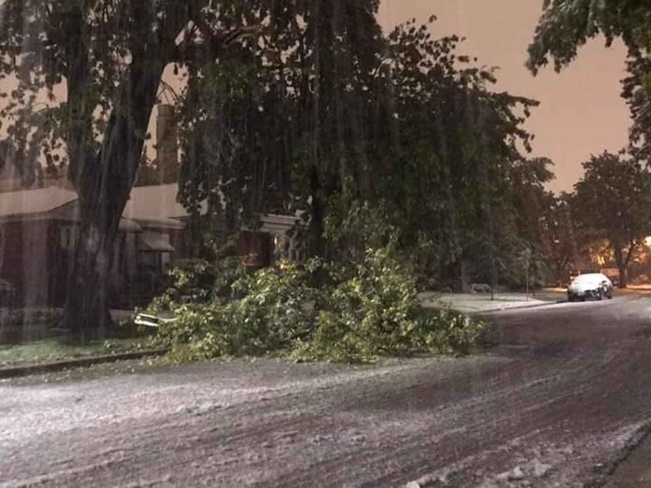 "En Berwyn, Ill. Árboles y ramas caídas"