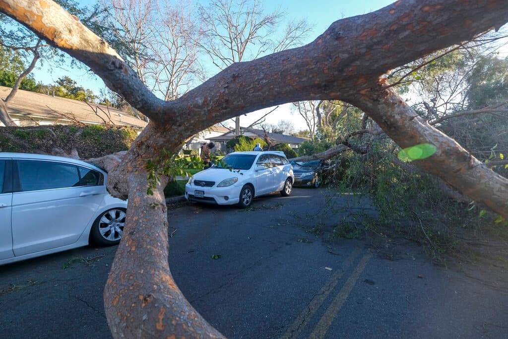 En las últimas 48 horas, los vientos en el sur de California alcanzaron hasta las 90 millas por hora, lo cual aumentó significativamente los peligros por incendios en la región.