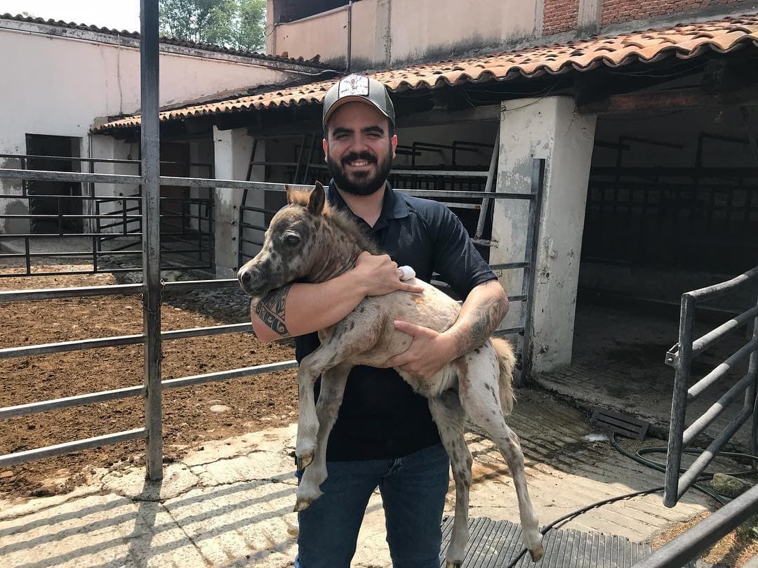Su nieto Vicente, hijo de Vicente Jr., también se ha dejado ver teniéndoles mucho cariño y cada vez que visita el rancho de 'Los Tres Portillos' no pierde la oportunidad de consentirlos.