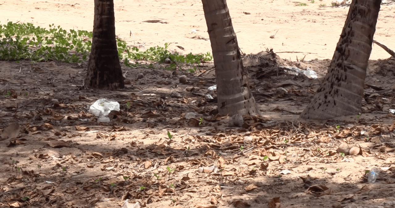 Los voluntarios deberán utilizar caretas y respetar el distanciamiento social.