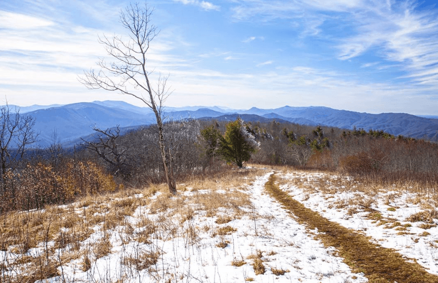 Una lluvia muy ligera mezclada con nieve y aguanieve fue registrada en varias localidades del Piamonte y la llanura costera de Carolina del Norte. Lugar: Pisgah National Forest, Carolina del Norte.