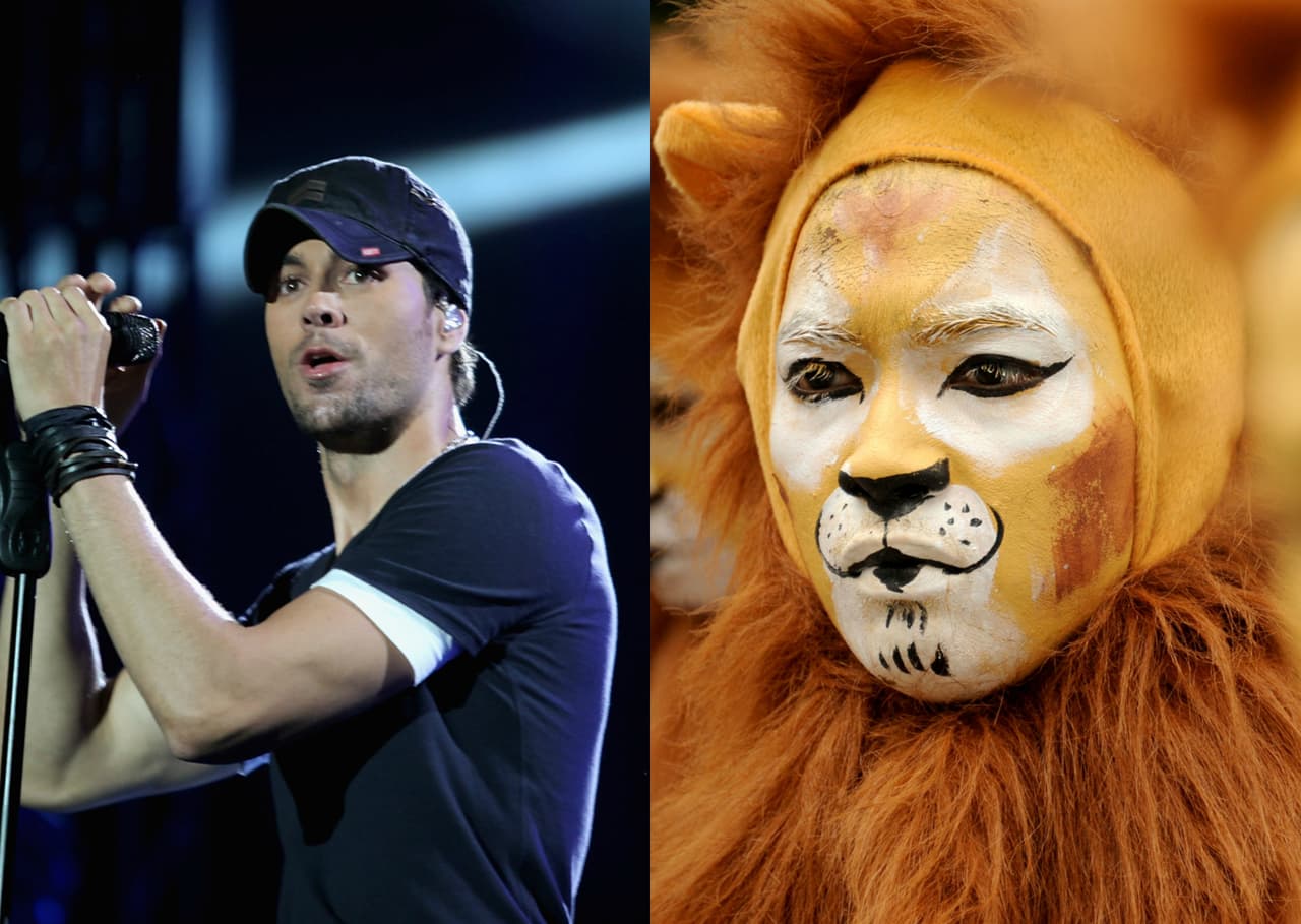 Un fiero león es el personaje perfecto para Enrique Iglesias.