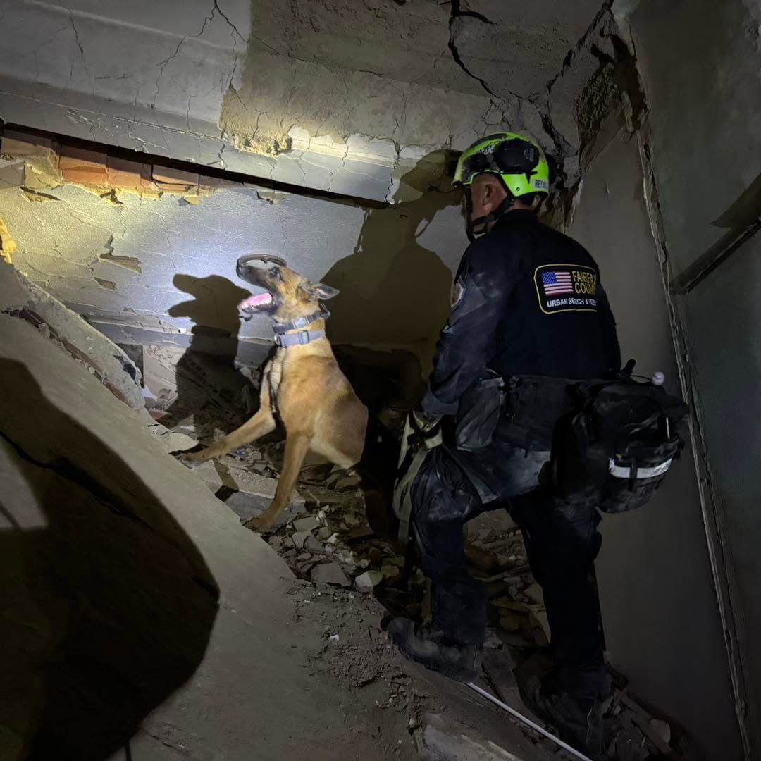 Las imágenes difundidas muestran a los rescatistas escalando estructuras derrumbadas y utilizando perros entrenados para detectar sobrevivientes.