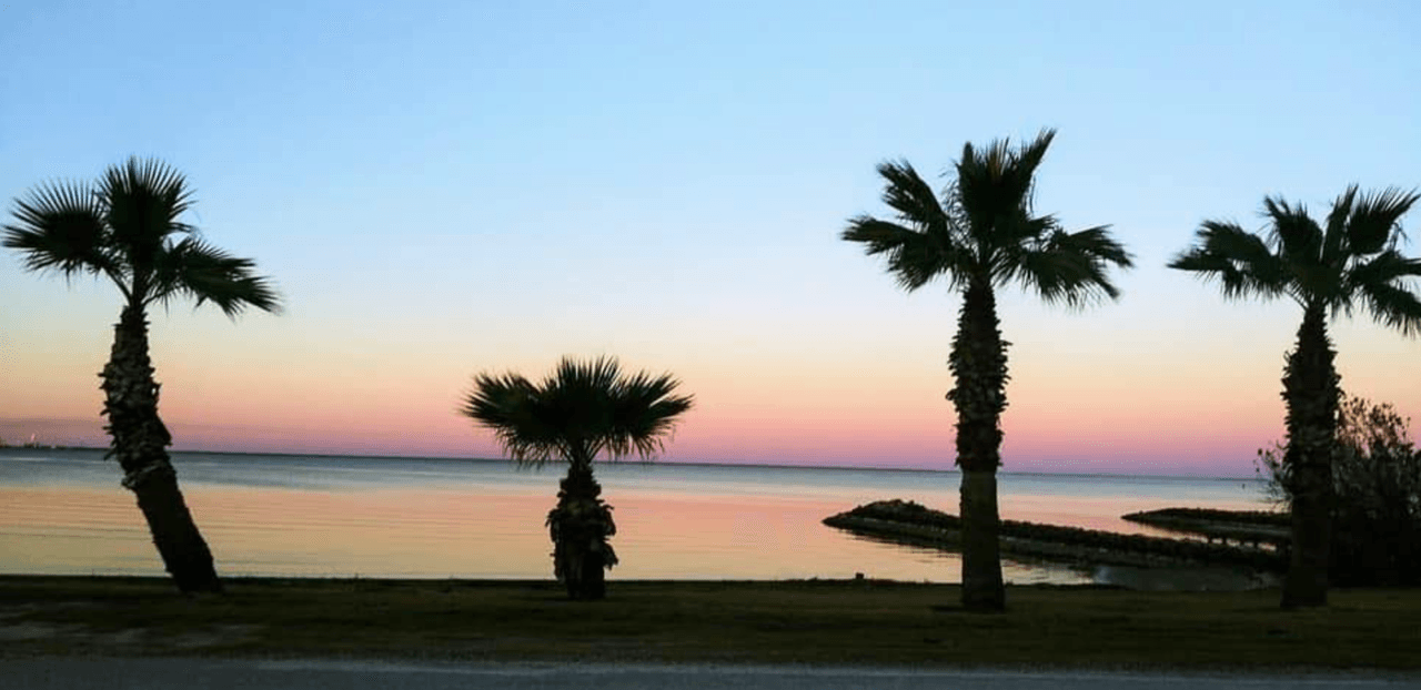 <b>Magnolia Beach: </b>Para aquellos que quieran empaparse del encanto de un pueblo pequeño y de las costas de Texas, Magnolia Beach, en el condado de Calhoun, es un buen destino Además de varias casas en la playa, también encontrará varios parques de casas rodantes populares en Magnolia Beach.