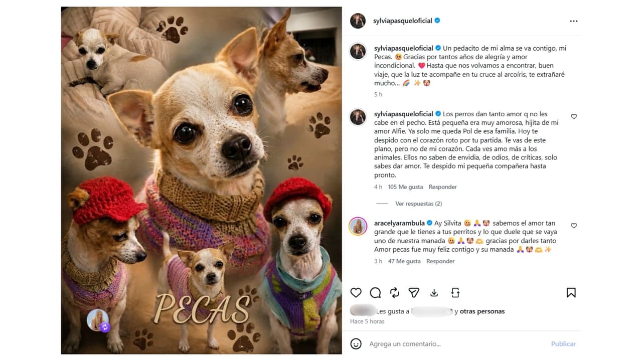 Así despidió Sylvia Pasquel a Pecas, su compañera perruna.