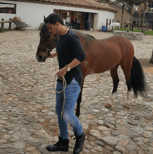 Confiesa que su amor por la música viene acompañado de los caballos.