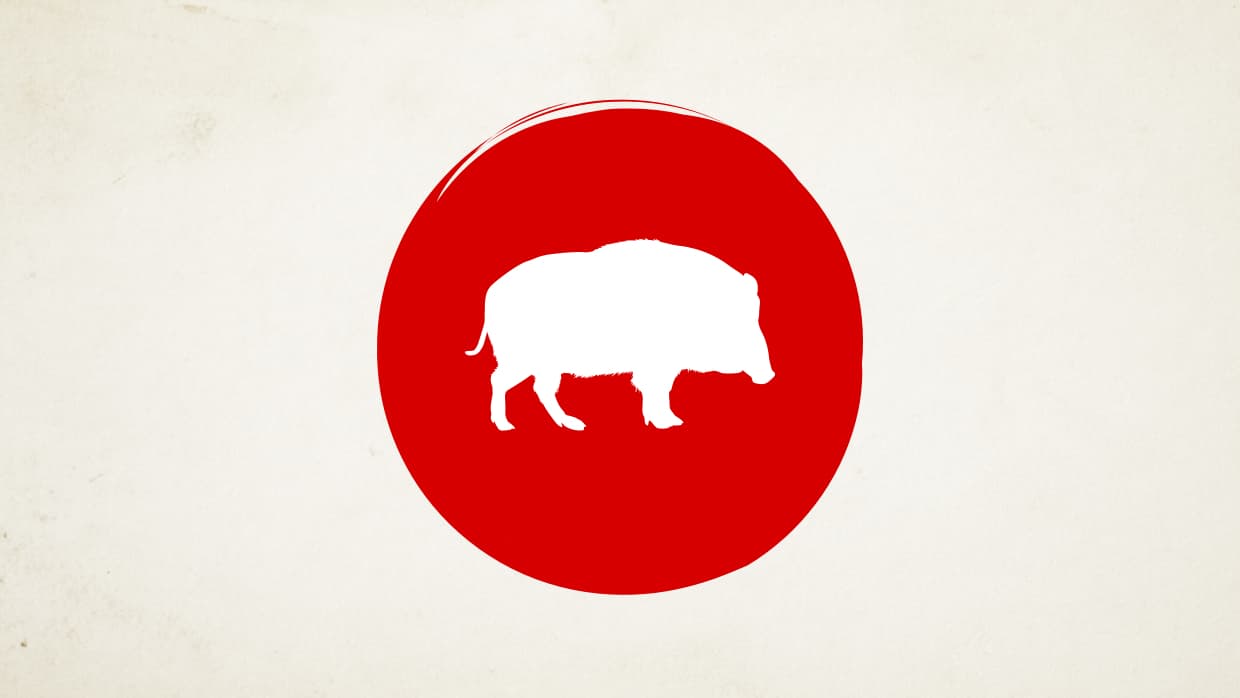 Su honestidad les hace rechazar instintivamente acciones malas o indebidas. Cuando el Cerdo se siente acorralado, se convierte un ser sospechoso, apático, totalmente sellado dentro de su mundo interior.