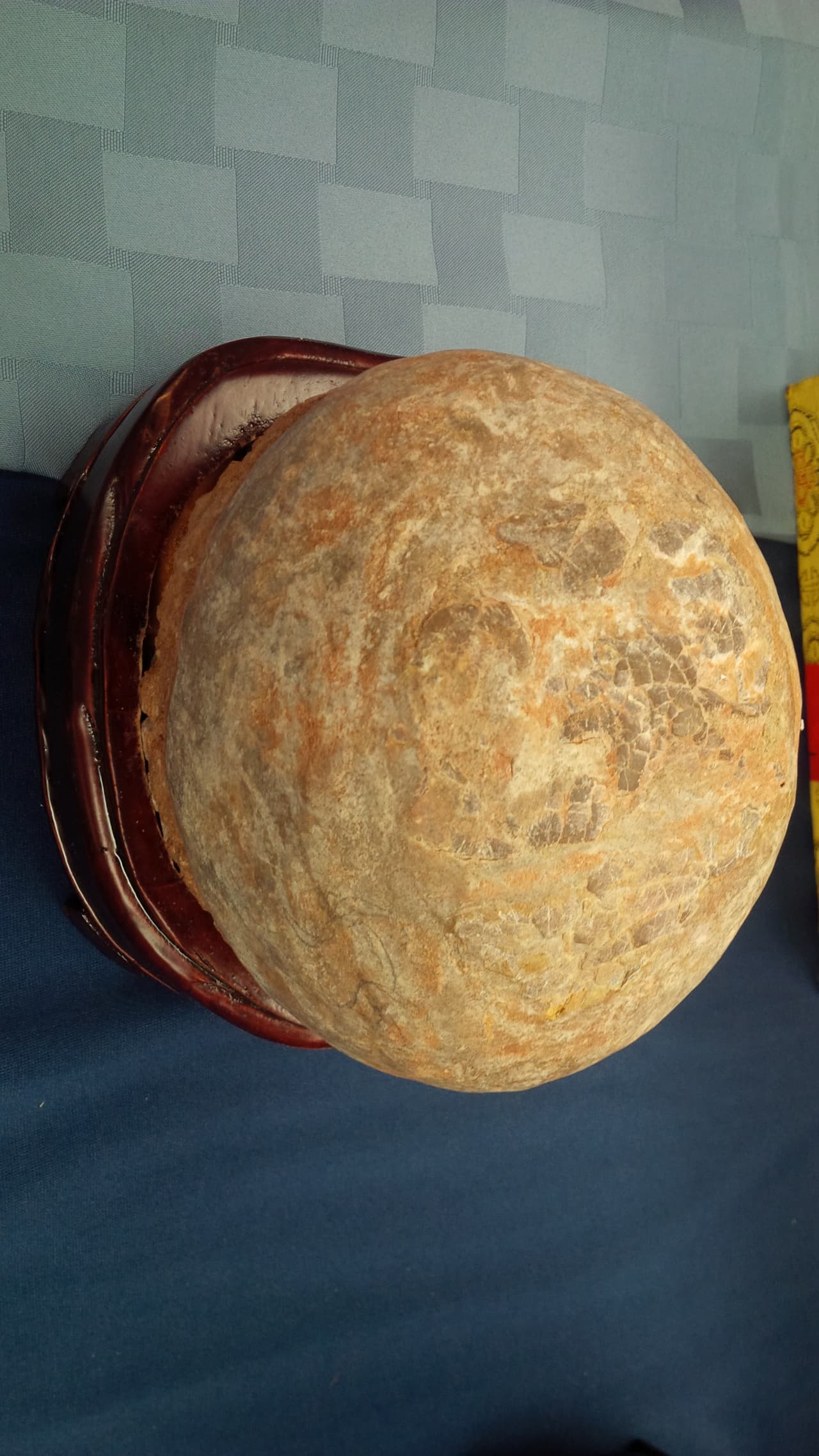 Los huevos de dinosaurios eran vendidos ilegalmente por 450 dólares cada uno, mientras que el fósil de un Psittacosaurus tenía un precio de 15,000 dólares.