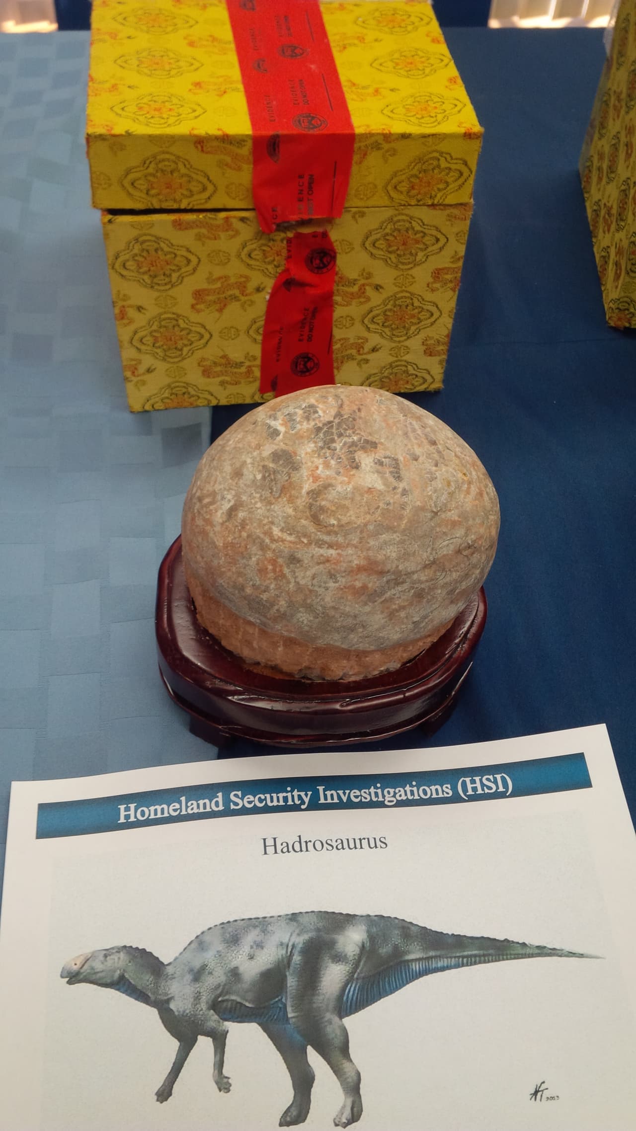 Los huevos de dinosaurios eran vendidos ilegalmente por 450 dólares cada uno, mientras que el fósil de un Psittacosaurus tenía un precio de 15,000 dólares.