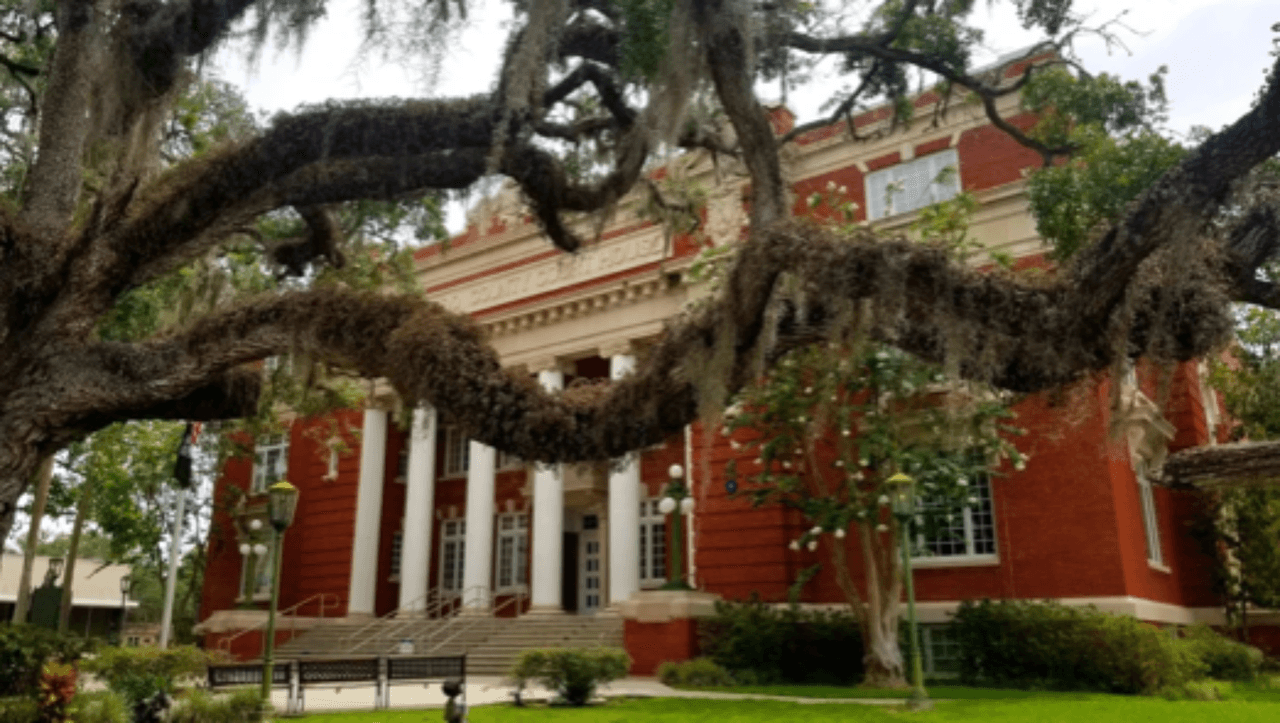 <h3 class="cms-H3-H3">5. Timber Pines, Florida</h3>
<br>
<br>📖
<b>Media de edad: </b>76.7 años.
<br>
<br>📖
<b>Población que asiste a la universidad: </b>0.6%
<br>
<br>📖
<b>Población menor de 18 años: </b>2.4%
<br>
<br>📖
<b>Población mayor de 65 años:</b> 83.3%
<br>
<br>📖
<b>Población:</b> 5,076 habitantes.
<br>