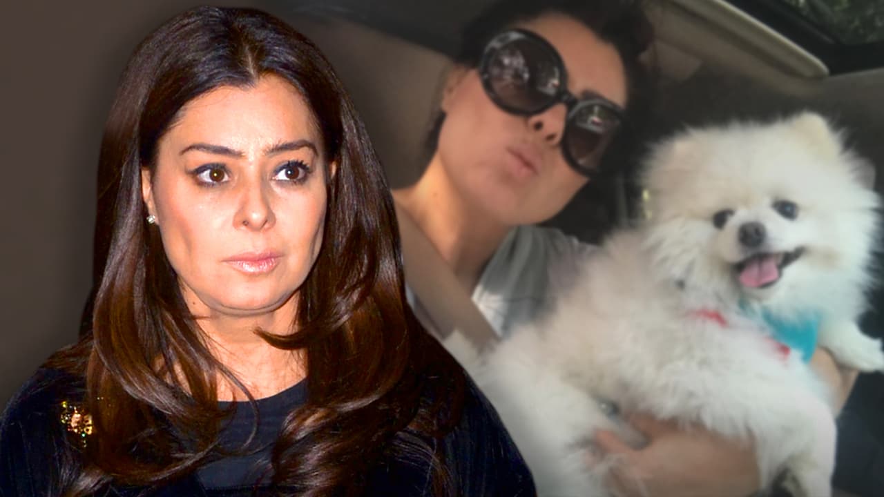 Yadhira Carrillo se queda sin dinero para mantener a sus 50 perros mientras su esposo sigue preso