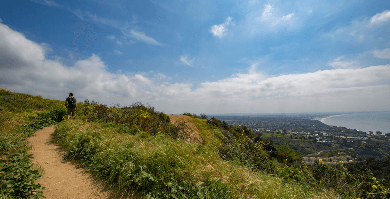 <a href="https://trails.lacounty.gov/Mobile/Trail/184/los-leones-trail" target="_blank">Los Leones Trail</a> - Mejores lugares para senderismo en Los Angeles