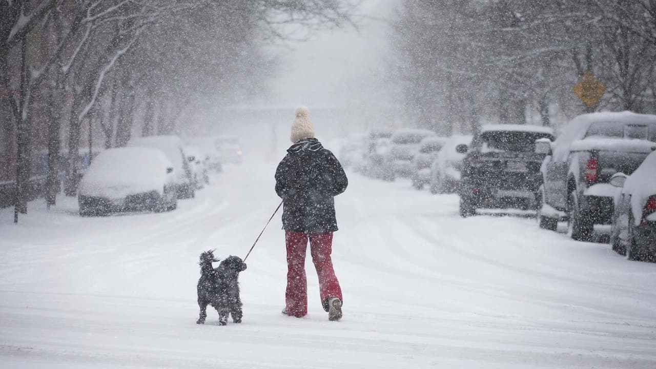 Comienza periodo de mayor caída de nieve en Illinois por tormenta invernal