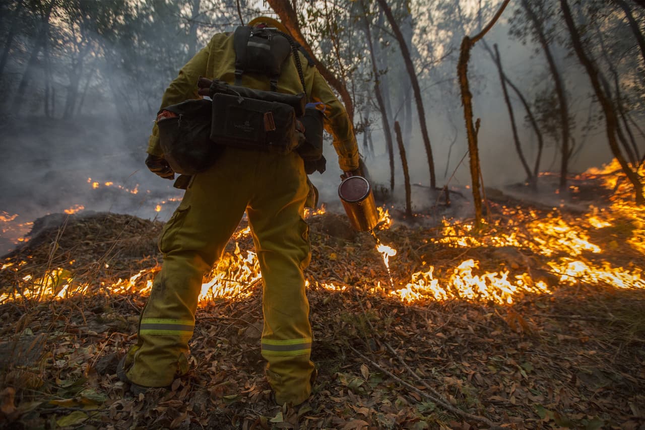 Los incendios comienzan a dar un respiro al norte de California tras una semana de agonía