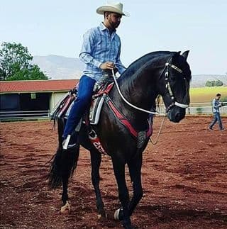 Otro que muere de amor por estos animales es
<b>Edén Muñoz</b>, líder de
<b> Calibre 50 </b>que con frecuencia comparte sus cabalgatas con sus 2.4 millones de seguidores en Instagram.