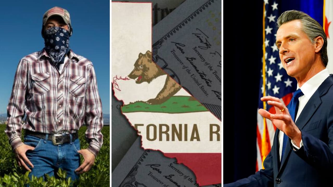 California dará por primera vez una identificación estatal a inmigrantes sin documentos, anuncia Newsom